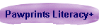 Our Foundation