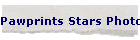 Pawprints Stars Photos