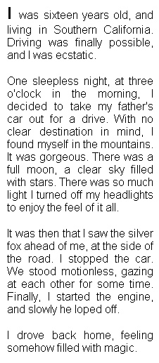 Moonlit_Fox_story_from_Pawprints_by_Ina,_prose_poems_for_romantics,_nature_and_animal_lovers,_from_teens_to_centenarians
