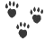 paws_from_Pawprints_by_Ina,the_book_of_short_stories_for_animals_and_their_people